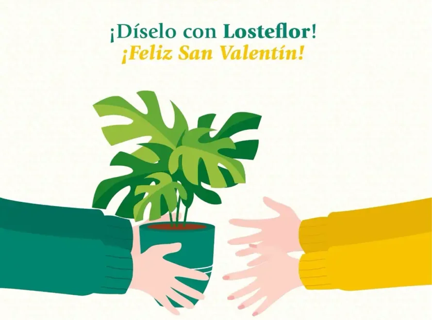Flores para San Valentín : Ideas y Tendencias en Chiclana de la Frontera
