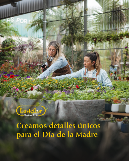 10 plantas y flores perfectas para regalar el Día de la Madre