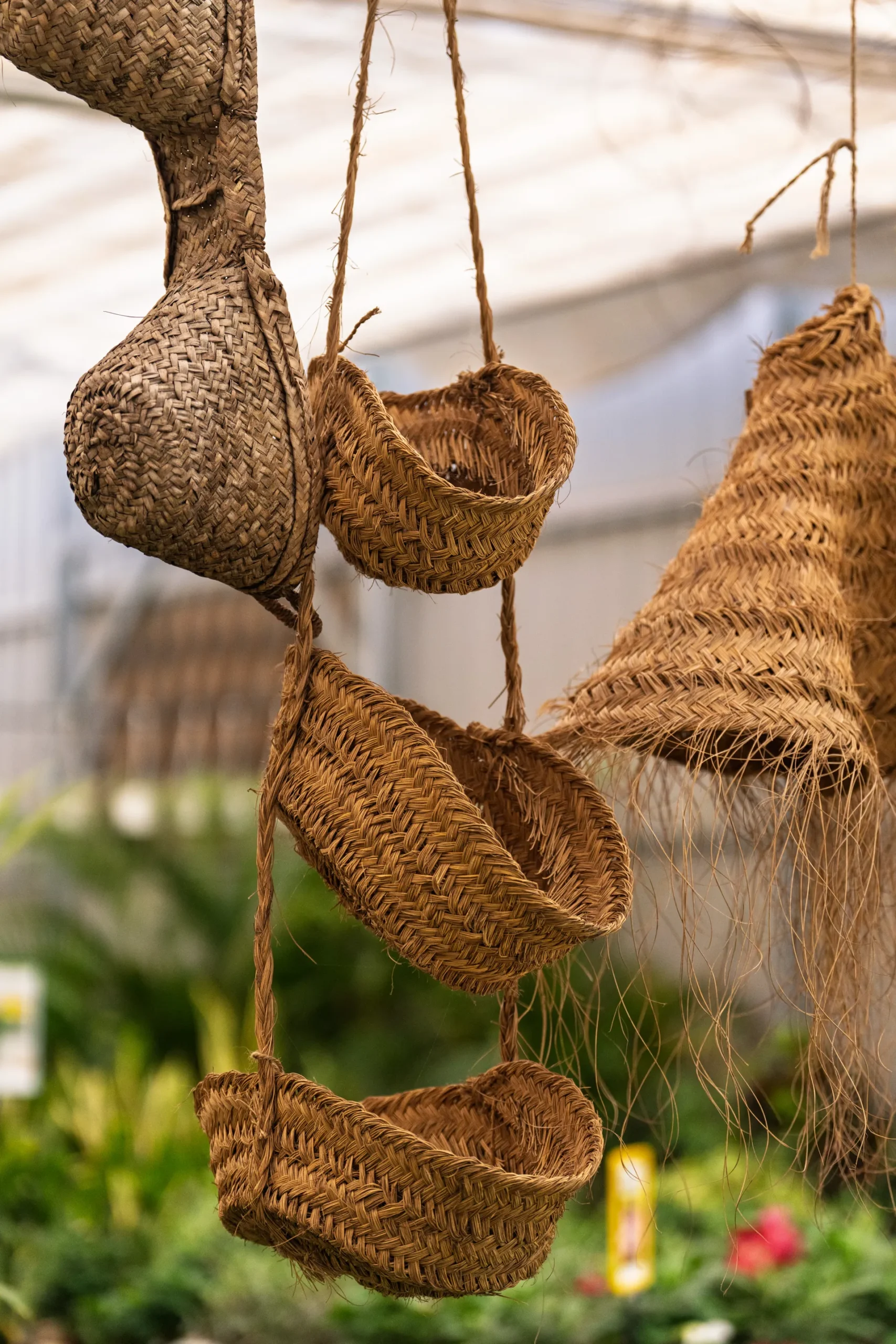 Cómo crear un jardín vertical en casa, guía