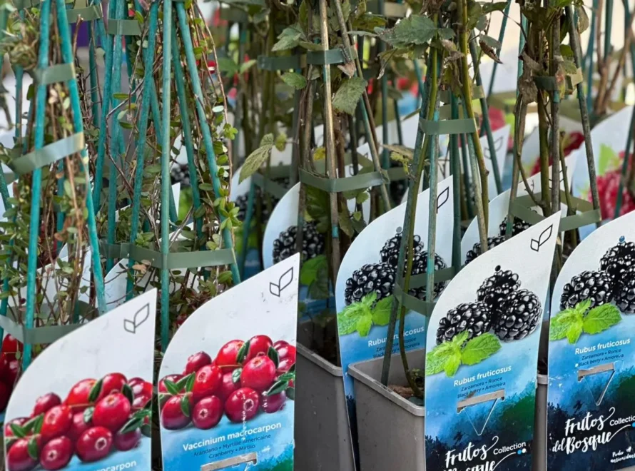 Icono bosque - vivero y jardines LosteFlor Chiclana