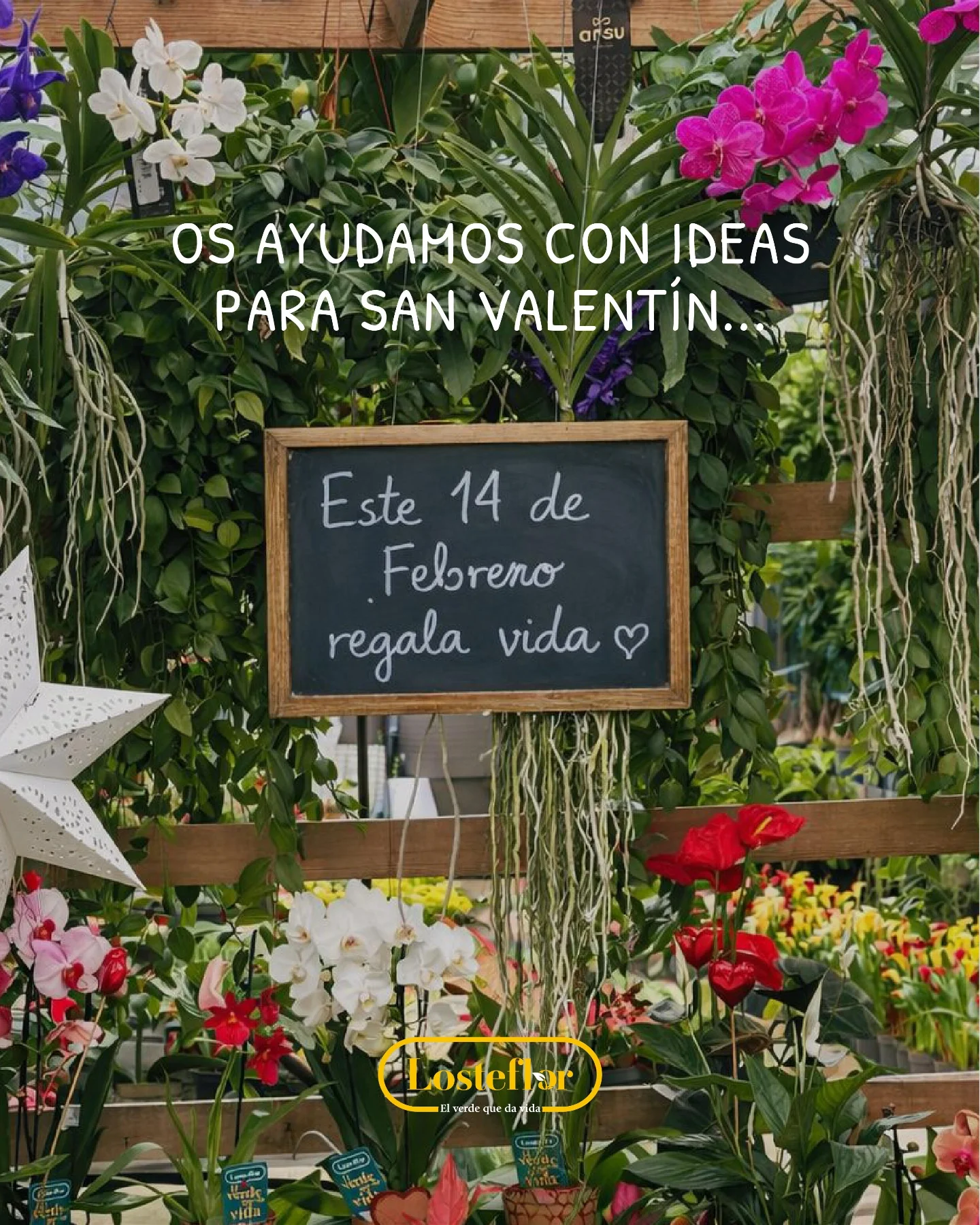 el regalo perfecto para san valentin