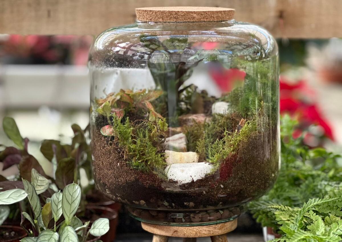 Terrario jardín eterno regalo perfecto San Valentín Losteflor