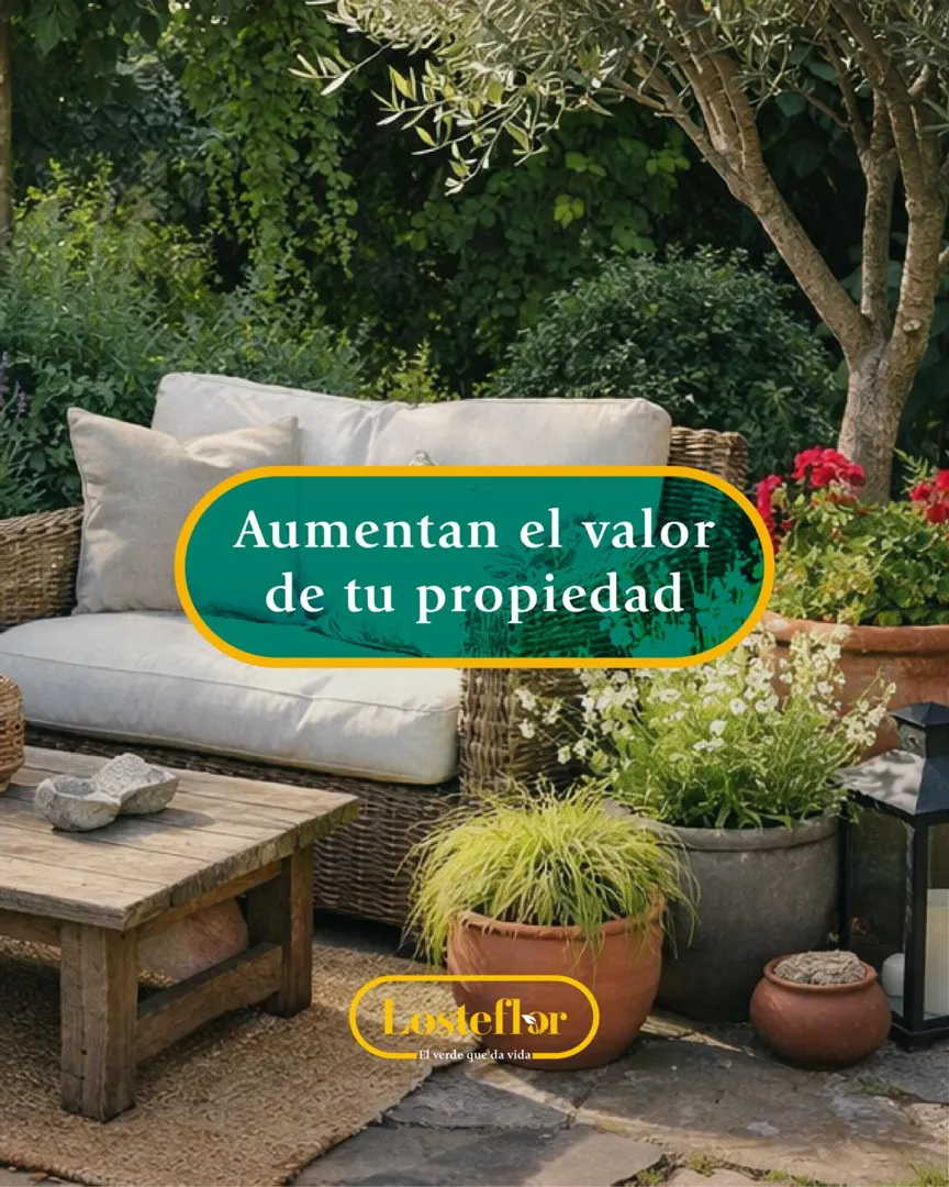 Valor de las plantas en tu jardín - aumenta el valor de tu propiedad