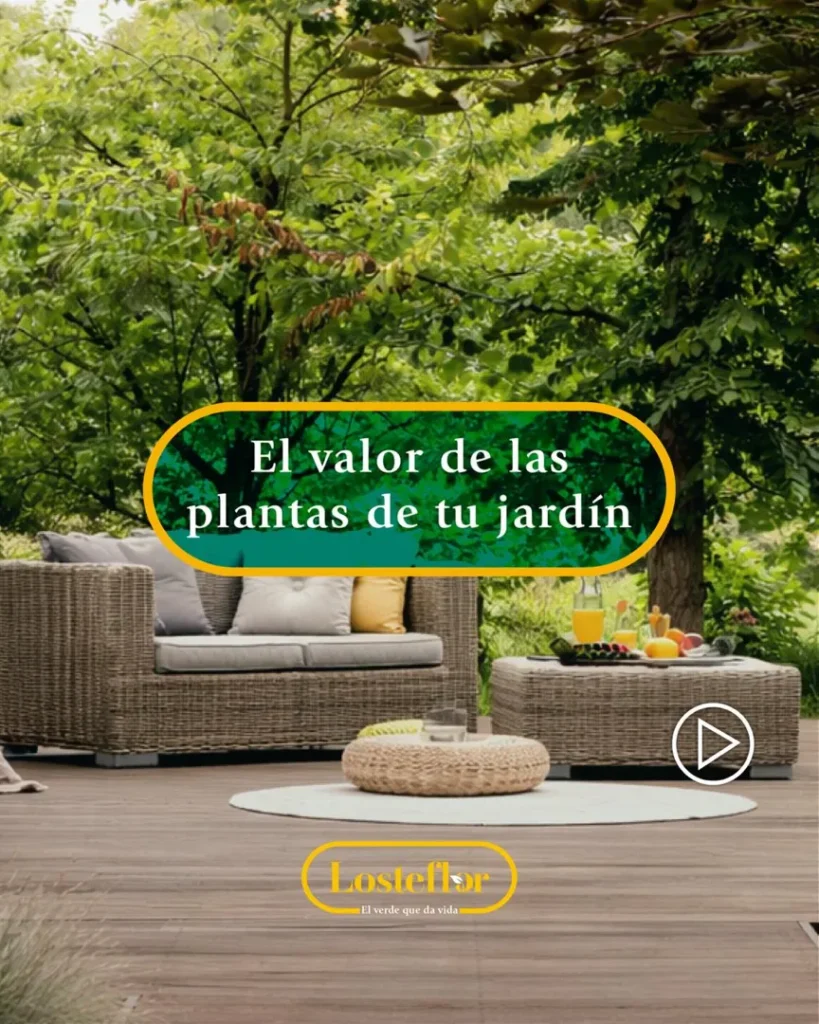 valor de las plantas en tu jardin