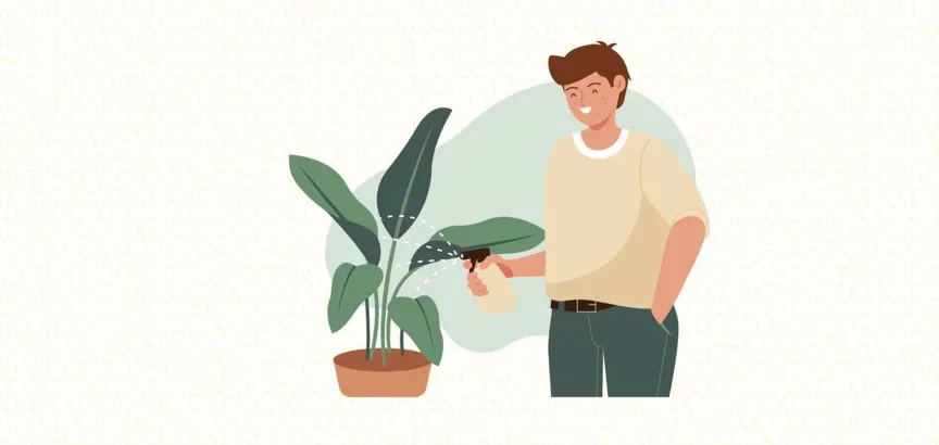 cosas que debes saber antes de comprar plantas de interior - adaptacion