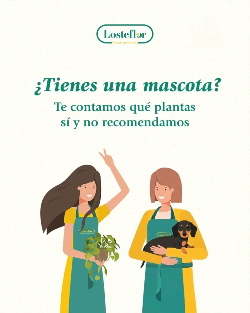 plantas seguras para mascotas