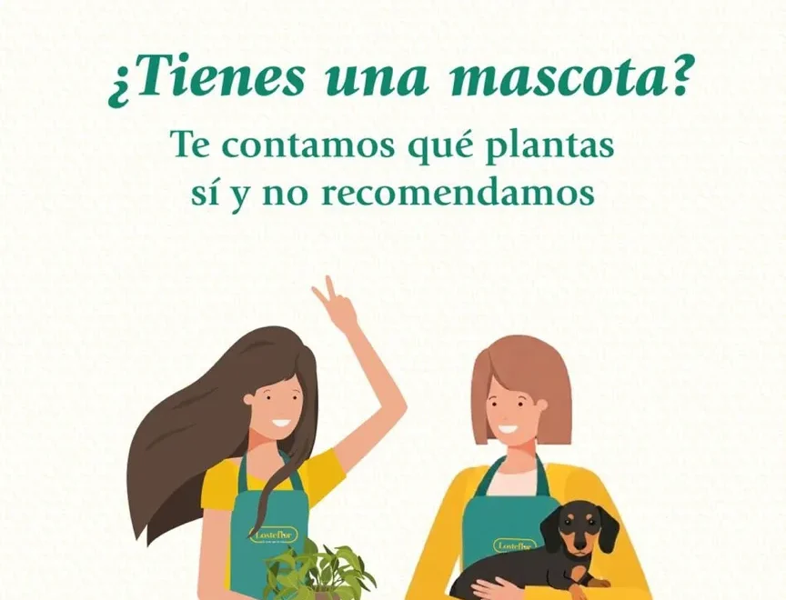 plantas seguras para mascotas