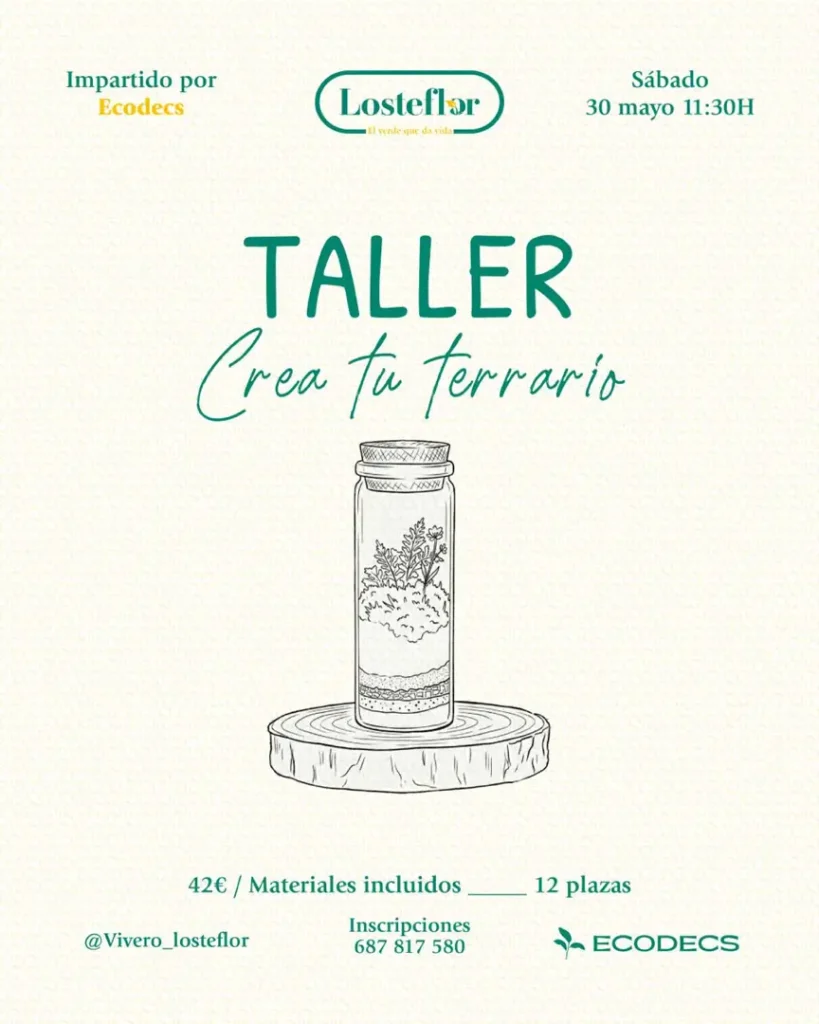 taller de terrarios en Chiclana participantes creando su ecosistema en Losteflor