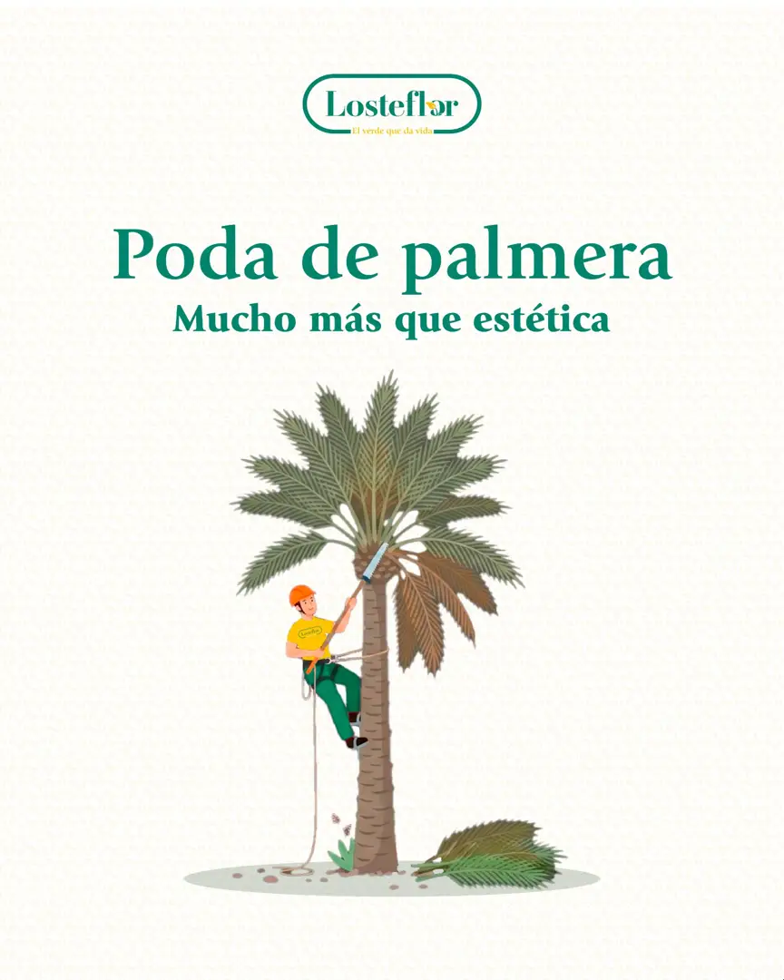 poda de palmeras losteflor