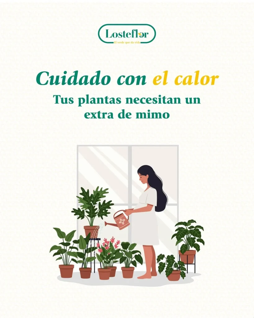 Ilustración de una mujer en el riego de plantas de su terraza con regadera junto a una ventana soleada