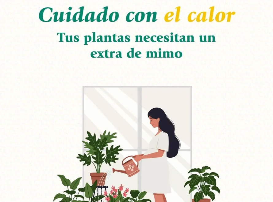 Ilustración de una mujer en el riego de plantas de su terraza con regadera junto a una ventana soleada