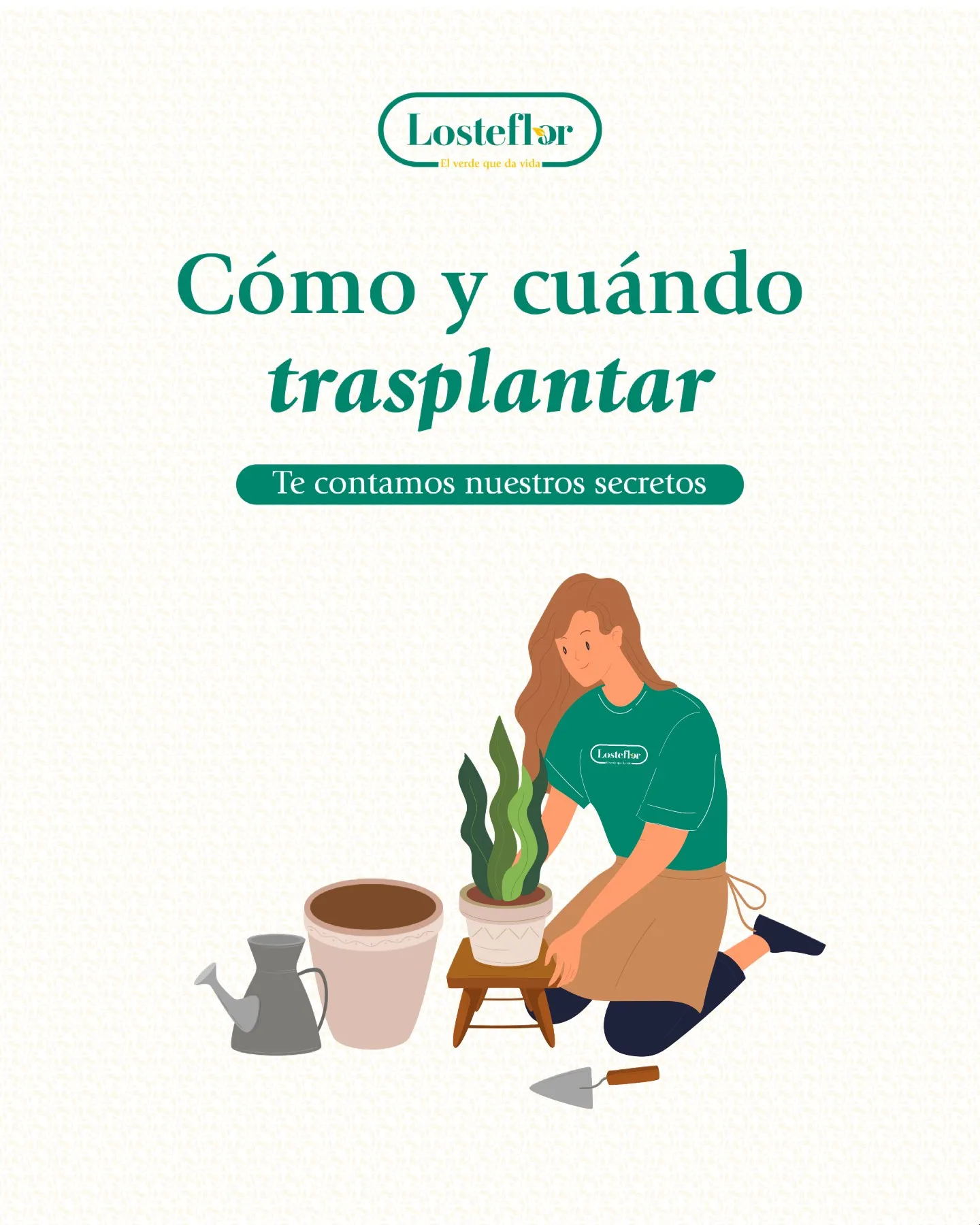 planta con raíces asomando por la maceta lista para un trasplante de maceta en Losteflor