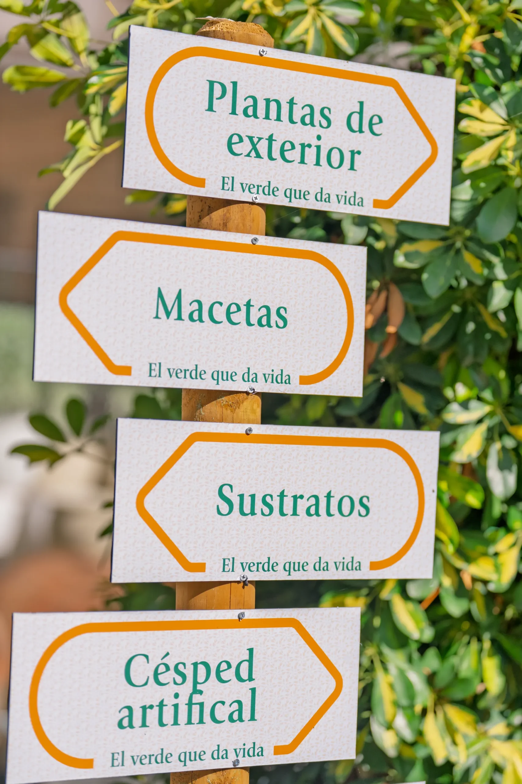 Vivero Losteflor - Servicios de mantenimiento de jardines en Cádiz - Vivero de plantas en Chiclana de la Frontera 6
