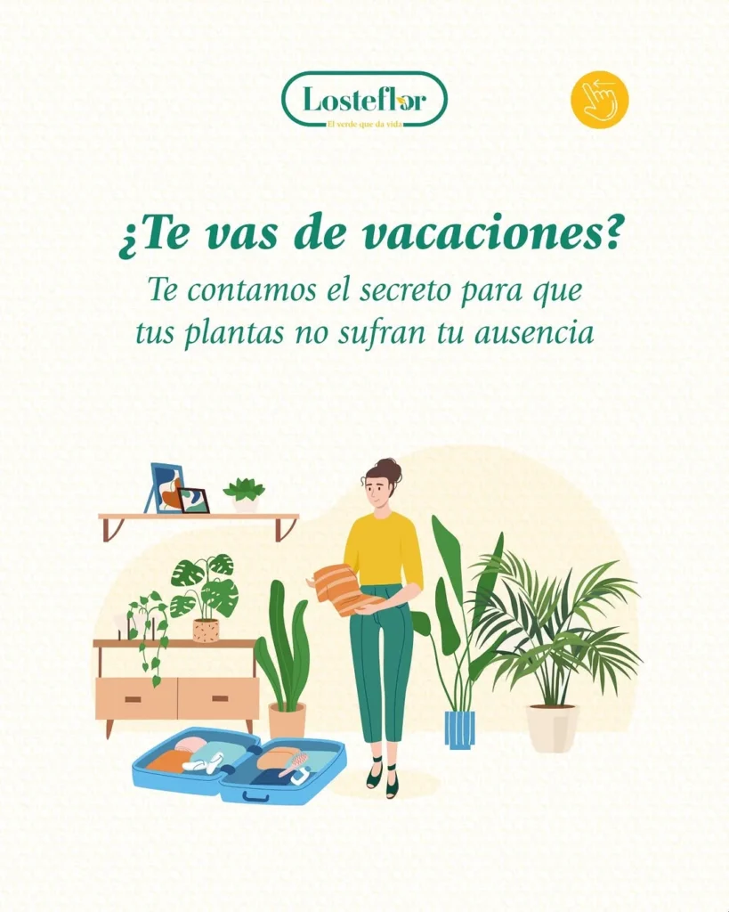 Cuidar plantas en vacaciones: ilustracion Losteflor con maleta y macetas