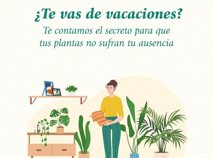 Cuidar plantas en vacaciones: ilustracion Losteflor con maleta y macetas