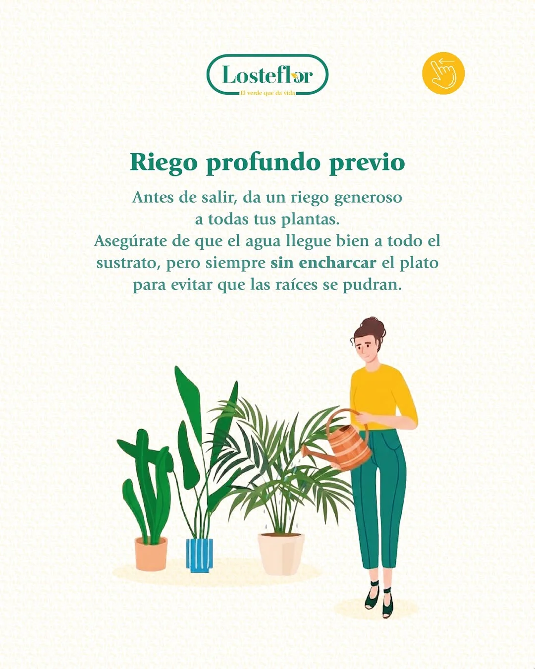 Cuidar plantas en vacaciones con un riego profundo previo a salir