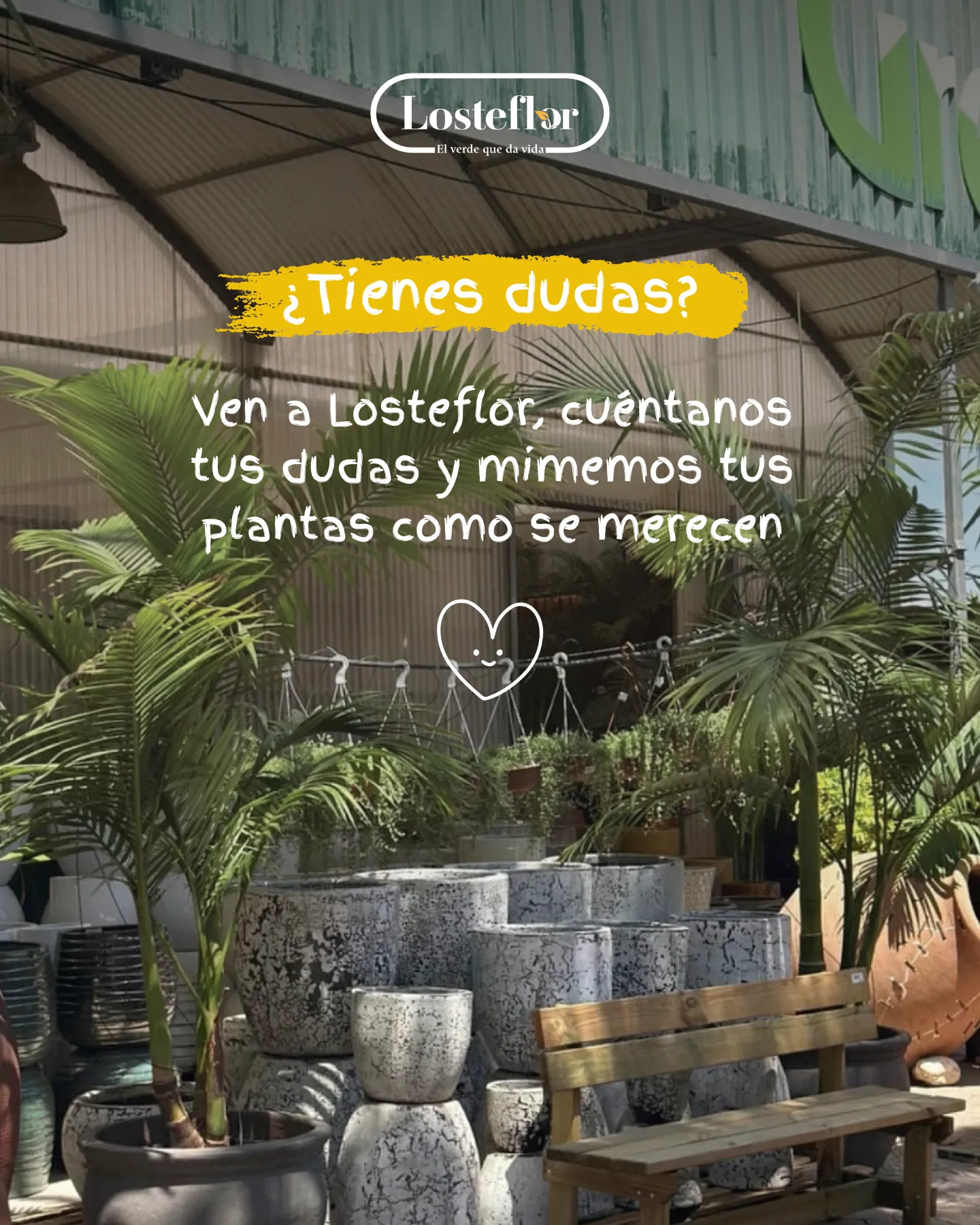 Vivero Losteflor en Chiclana con palmeras, macetas y plantas de exterior