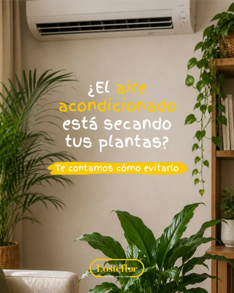 Salón con aire acondicionado y plantas de interior —palmera, potos y espatifilo— junto al mensaje de Losteflor sobre cómo evitar que el aire acondicionado seque las plantas