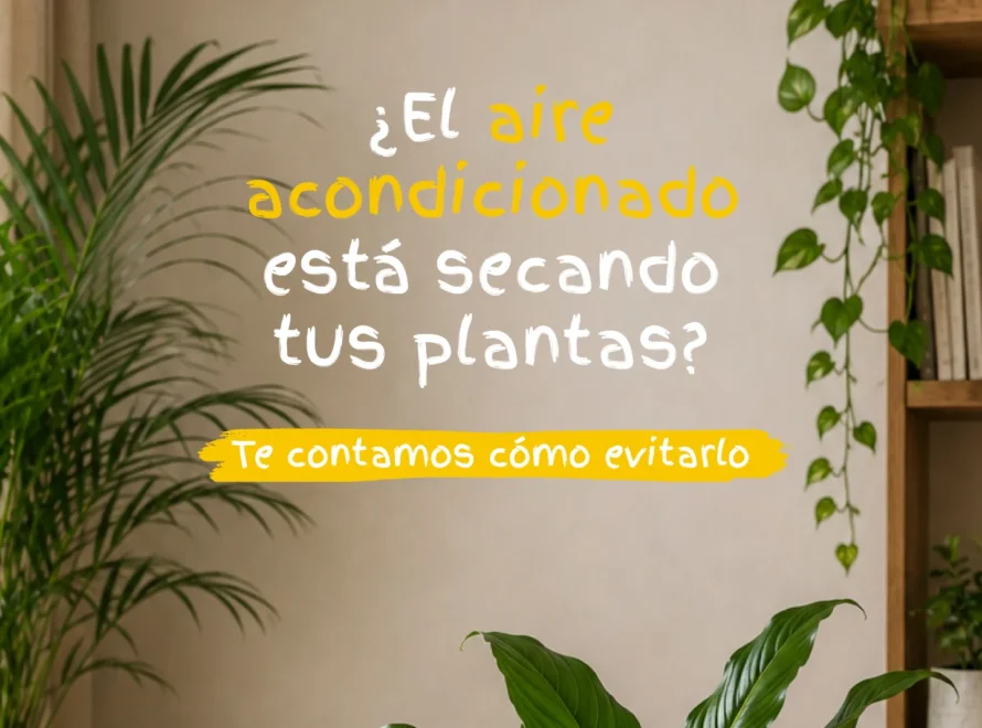 Salón con aire acondicionado y plantas de interior —palmera, potos y espatifilo— junto al mensaje de Losteflor sobre cómo evitar que el aire acondicionado seque las plantas