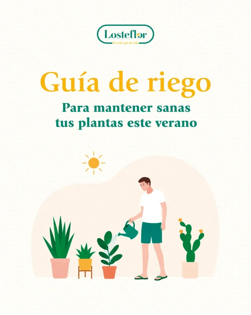 Guía de riego de Losteflor para regar las plantas en verano y mantenerlas sanas