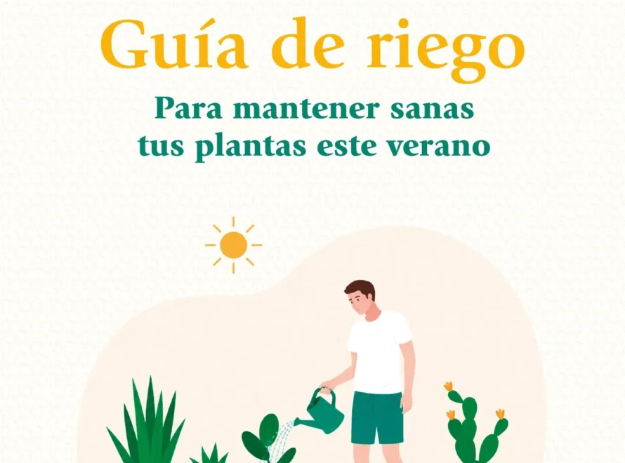 Guía de riego de Losteflor para regar las plantas en verano y mantenerlas sanas