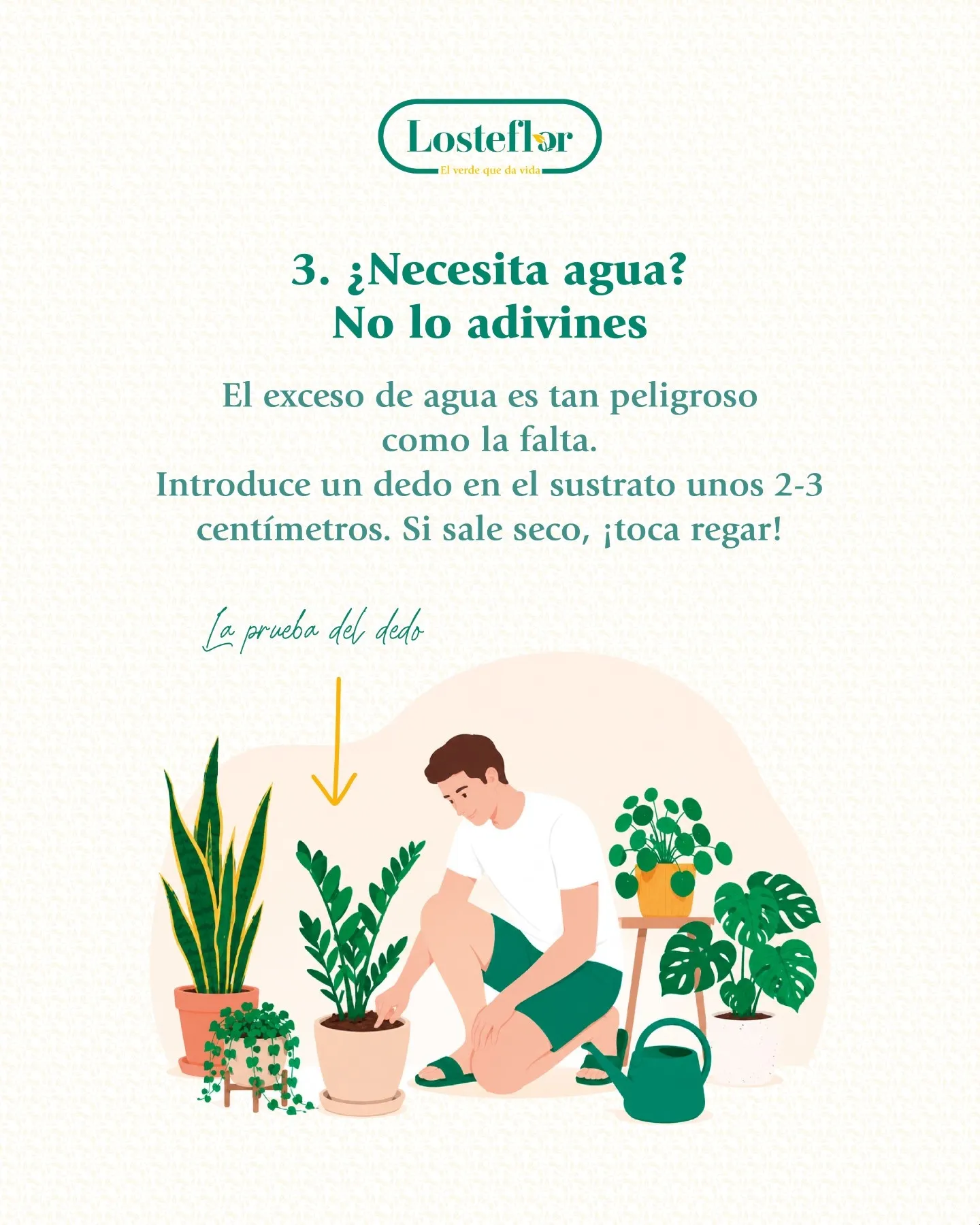Persona comprobando la humedad del sustrato con el dedo antes de regar las plantas en verano