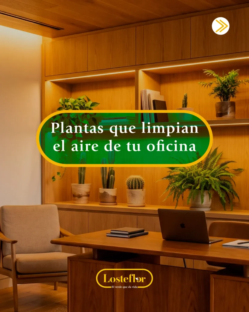 Plantas purificadoras en un despacho de madera con escritorio, portátil, helecho y cactus en las estanterías