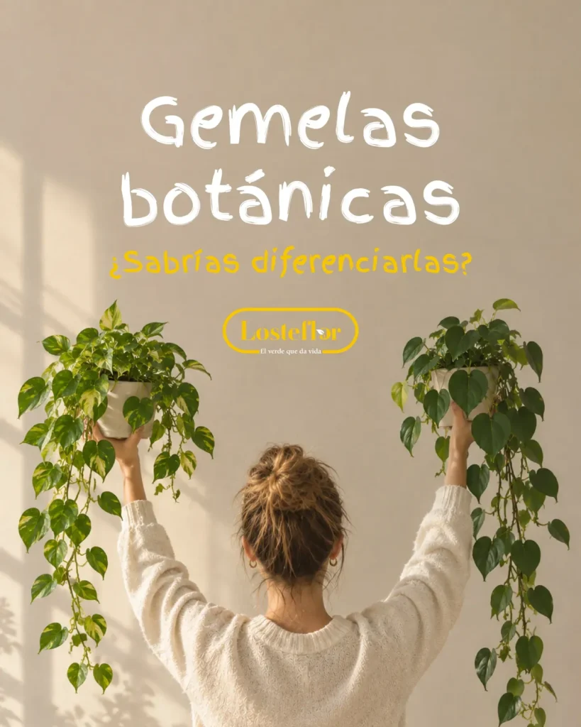 Plantas gemelas: una mujer sostiene un pothos y un filodendro trepador, portada de Losteflor