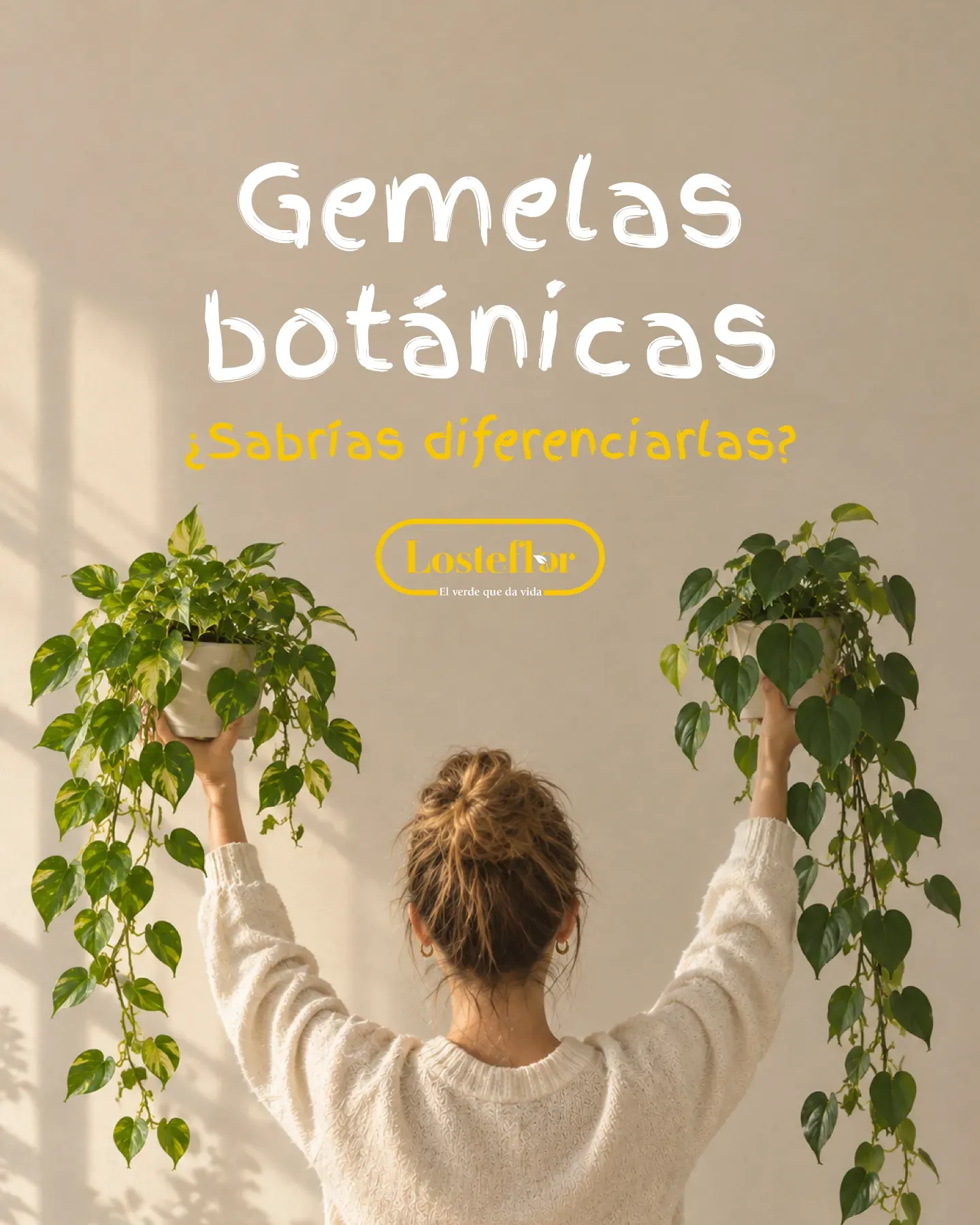 Plantas gemelas: una mujer sostiene un pothos y un filodendro trepador, portada de Losteflor