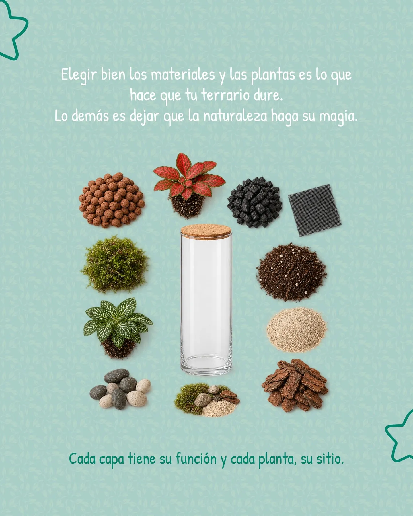 Materiales para montar un terrario: bolas de arcilla, piedras, musgo, sustrato, corteza y plantas