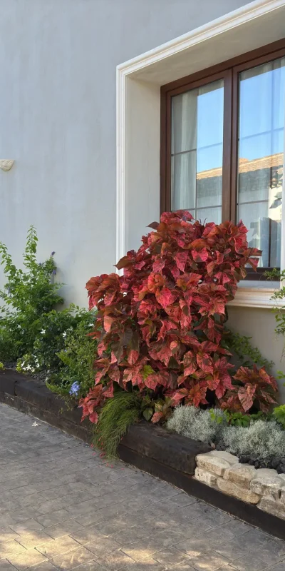 servicios de jardinería