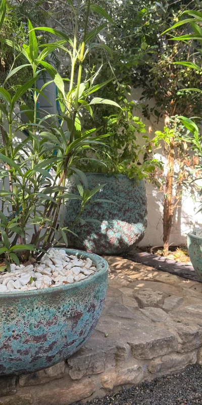 servicios de jardinería