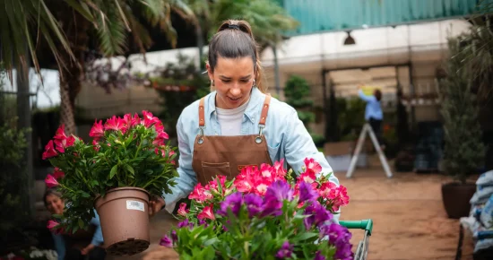 Vivero Losteflor - Servicios de mantenimiento de jardines en Cádiz - Vivero de plantas en Chiclana de la Frontera 90